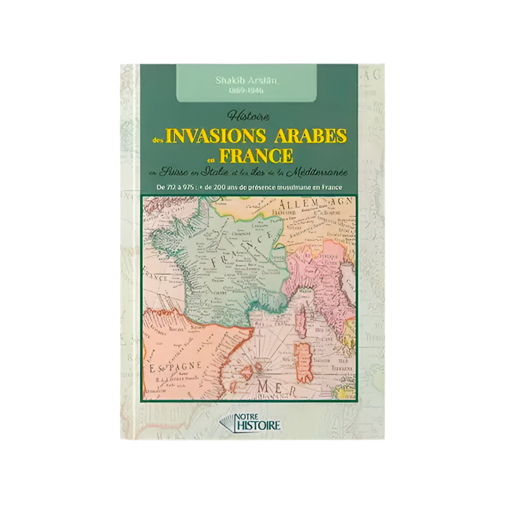 Histoire des invasions arabes en France