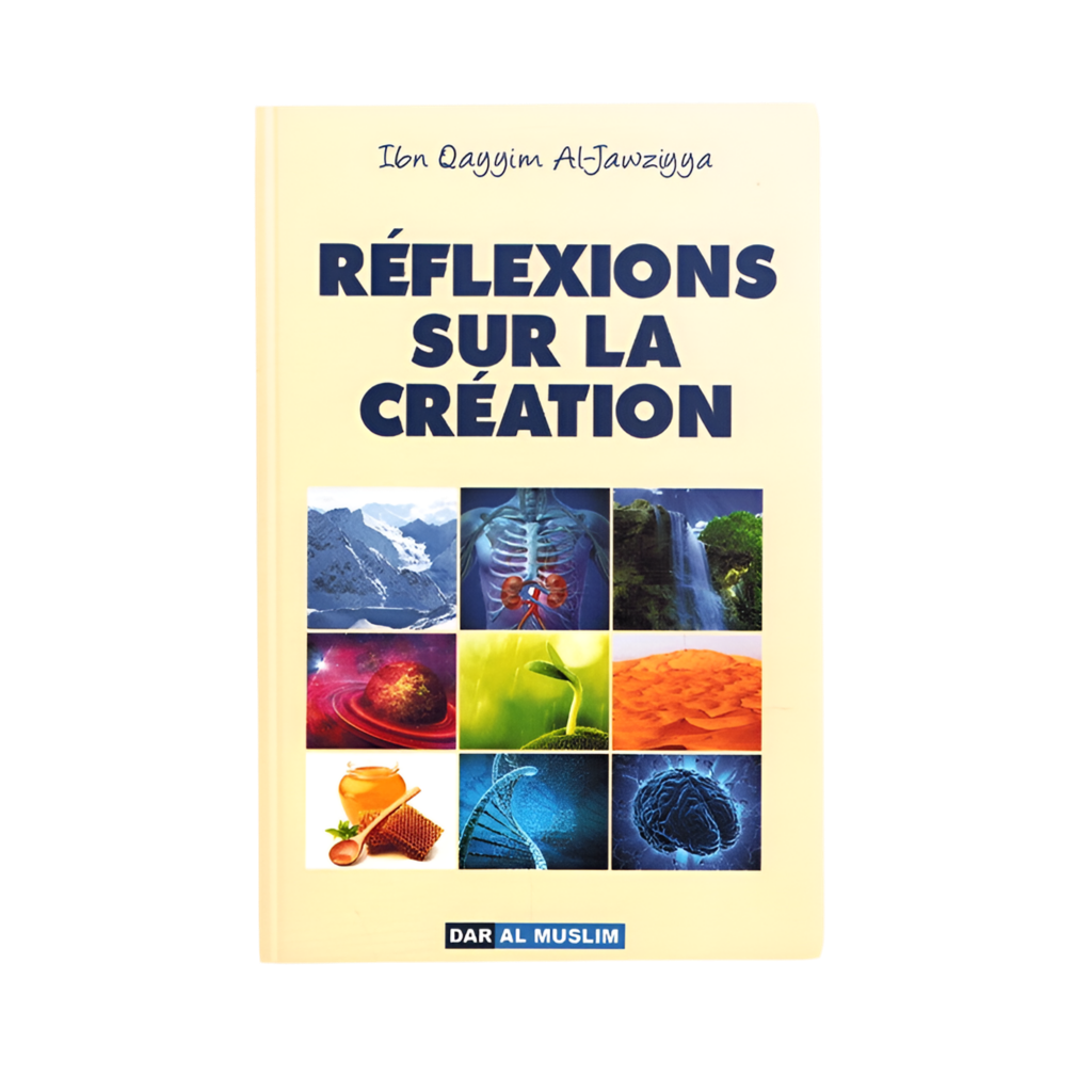 Réflexions sur la création