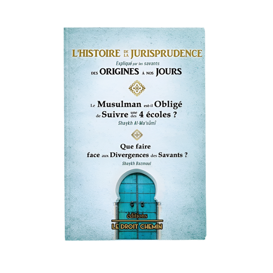 L’histoire de la jurisprudence